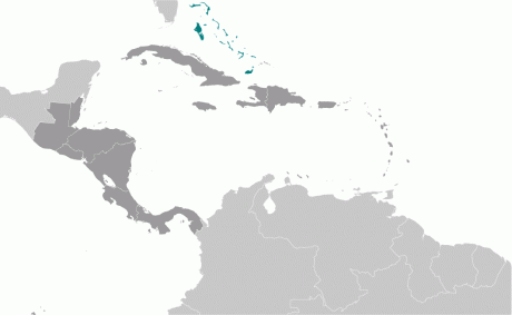 bf_large_locator