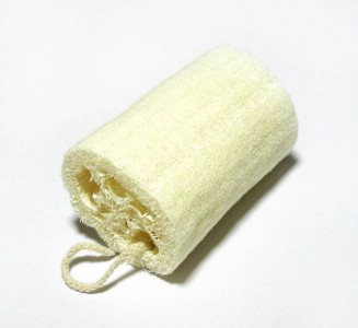 654px-Loofah