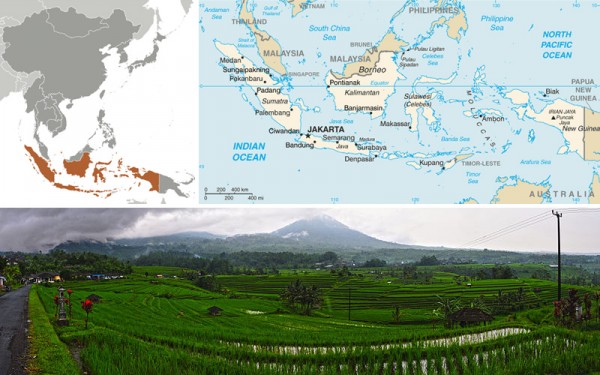 IndonesiaMap