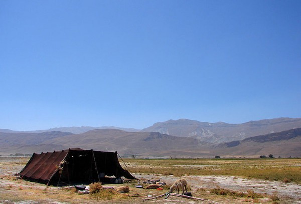 Iranian-Nomad