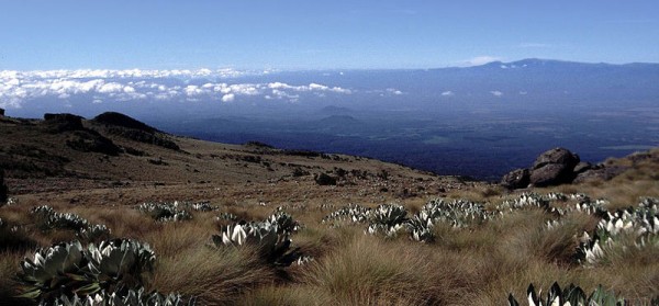 Mount-Kenya