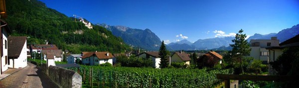 Vinyard-in-Liechtenstein