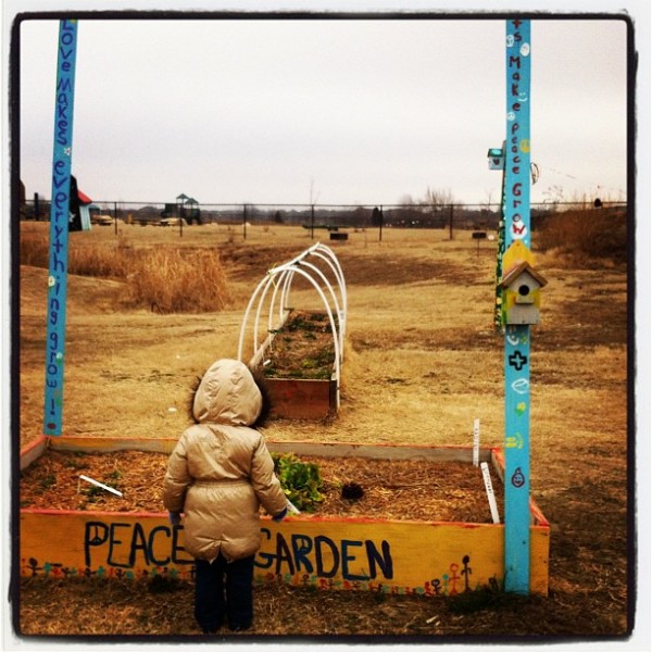 peace garden