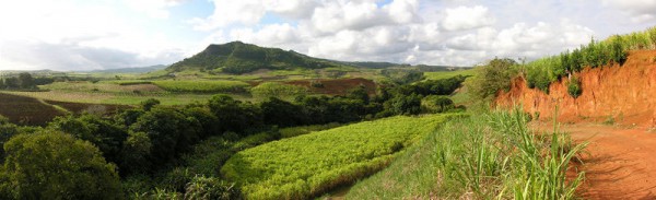 Mauritius-landscape