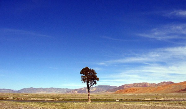 Mongolia-sky