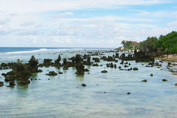 Nauru-coral
