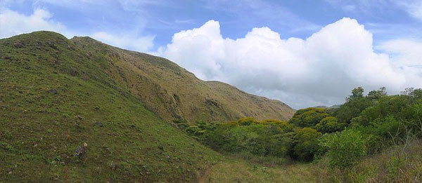 hills-of-panama