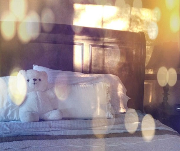 teddy-bear