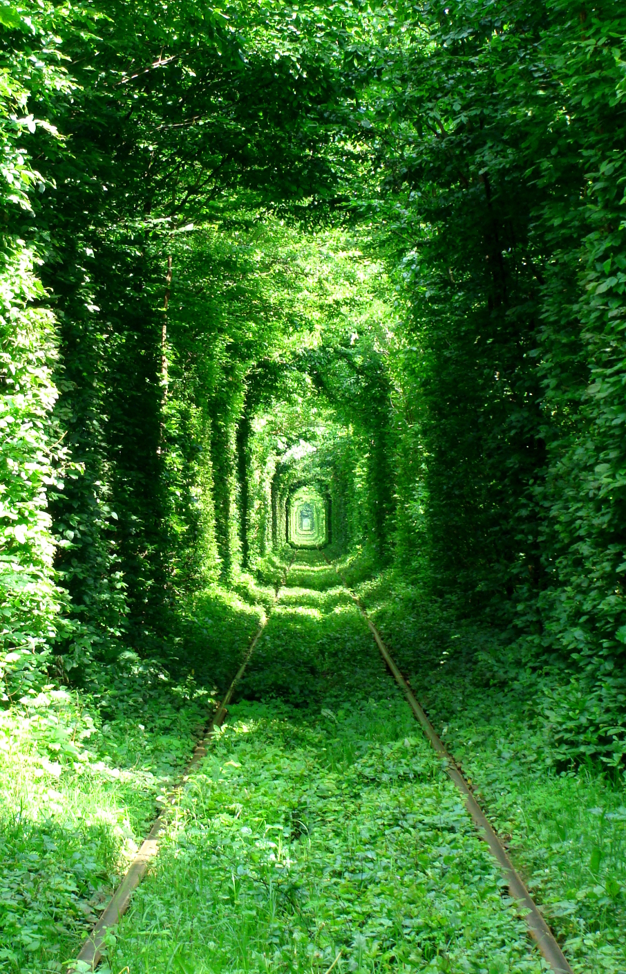 "Tunnel of Love" in Rivne, Ukraine - by serhei