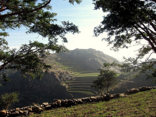 Mawhit in Yemen. Photo by Franco Pecchio.