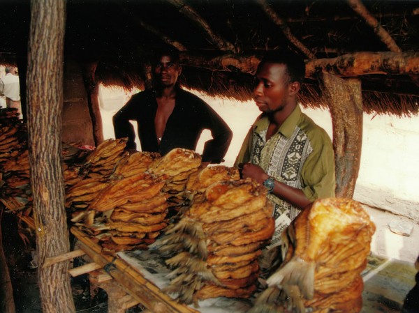 Fish market stall on Great East Road at the Luangwa Bridge, Zambia by Hans Hillewaert