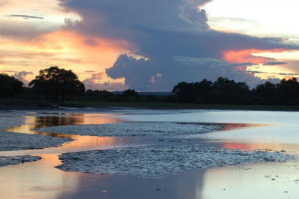 South Luangwa National Park, Zambia by Joachim Huber