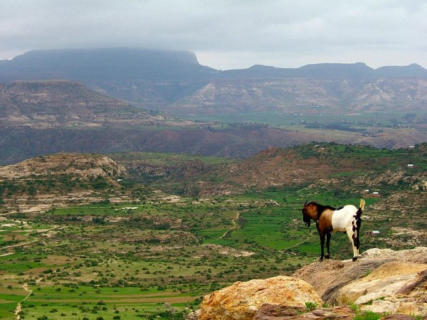 Ethiopian Highlands by Andro96.