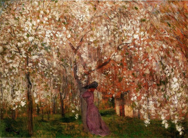 Sour Cherry Tree in Blossom (1909). Photo by
