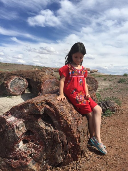 petrified-forest