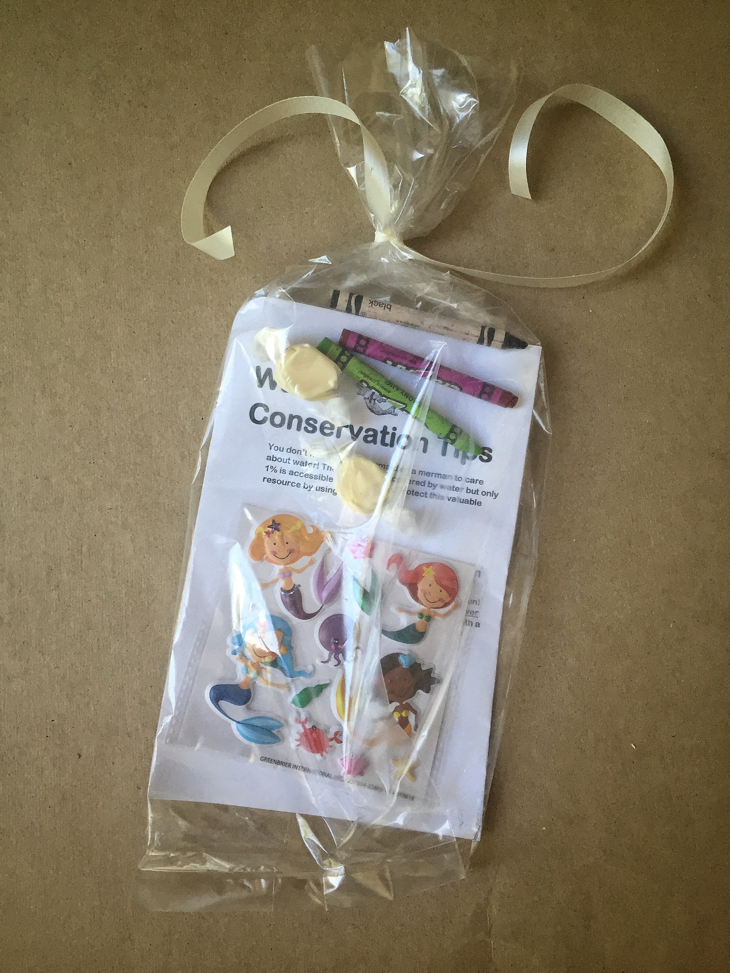 Science of Mermaids Birthday Party Favor