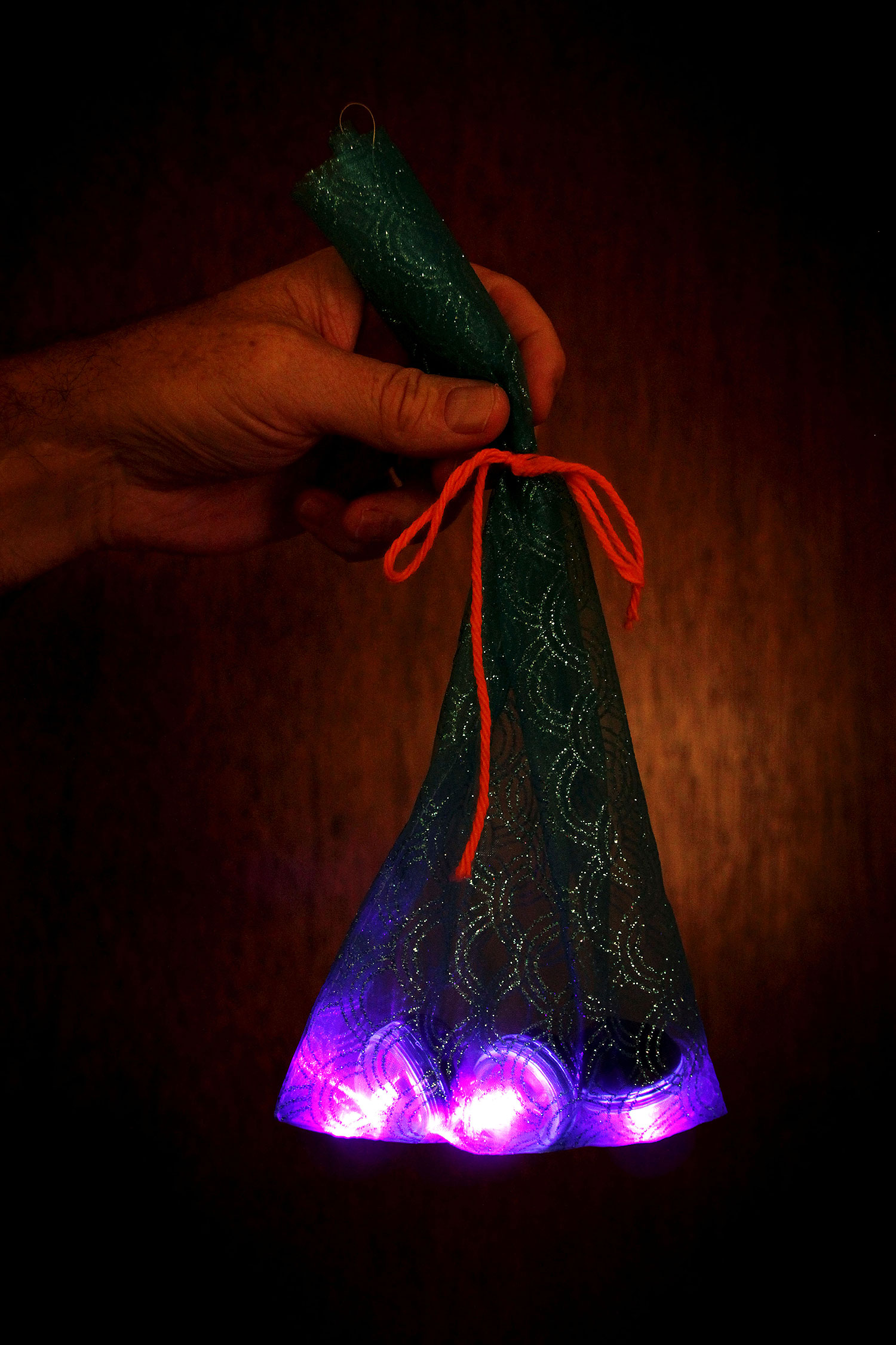 Science of Mermaids Birthday Party: Mermaid Reproduction (Diving for Eggs)