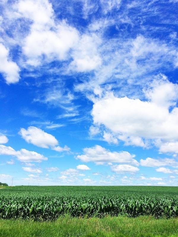 Field and sky.