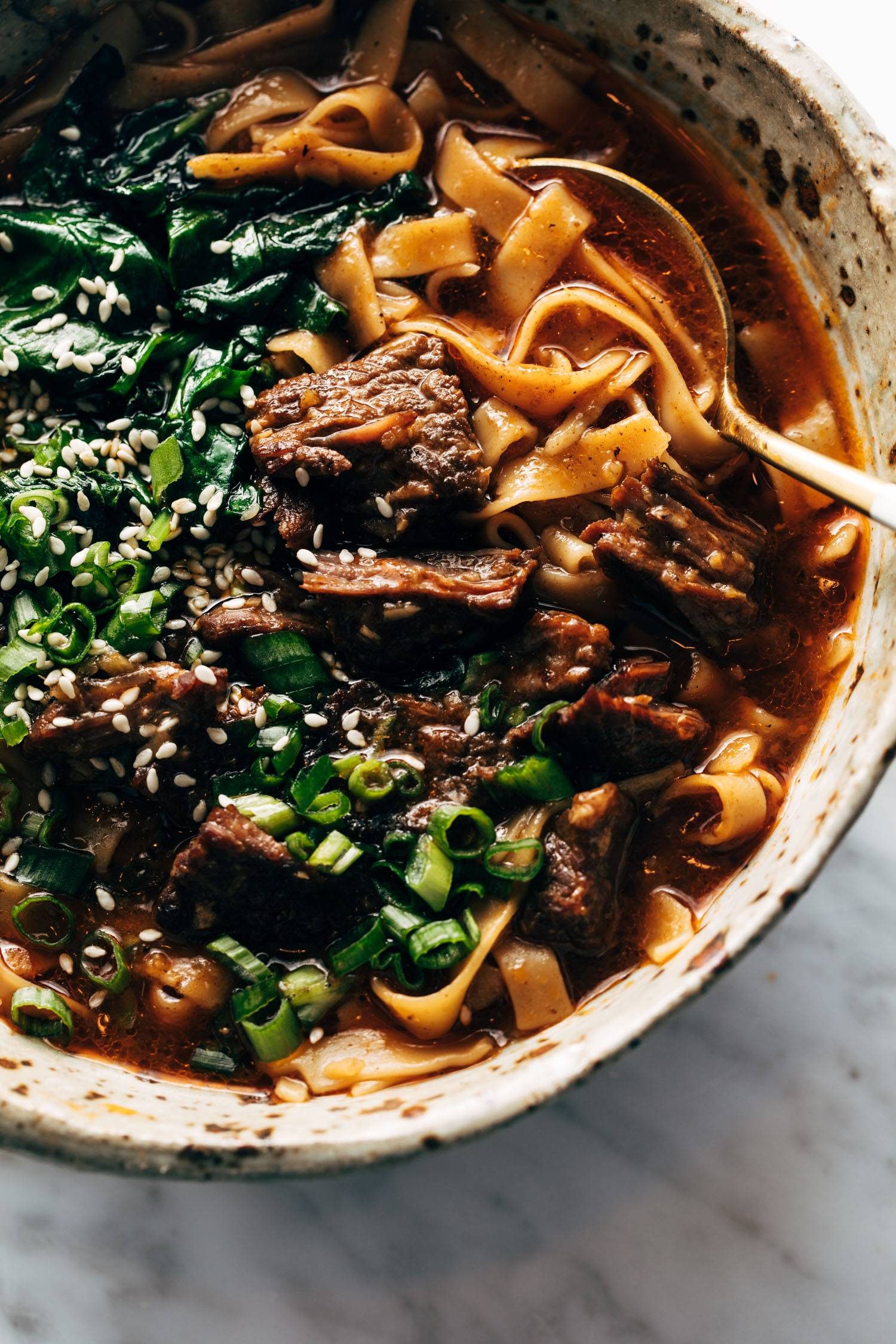 Short rib noodle soup in a bowl.
